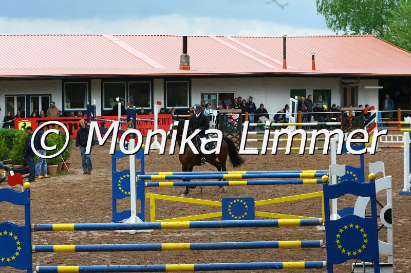 005L5440_Cornelius_Spring M mit Stechen.JPG